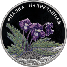 Серебряная монета 2 рубля "Фиалка надрезанная" 2022г., 15,55 г. 925 проба, ПРУФ