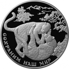 Серебряная монета 25 рублей 2011 года "Переднеазиатский леопард", 155,5 г