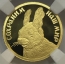 notify_thumb